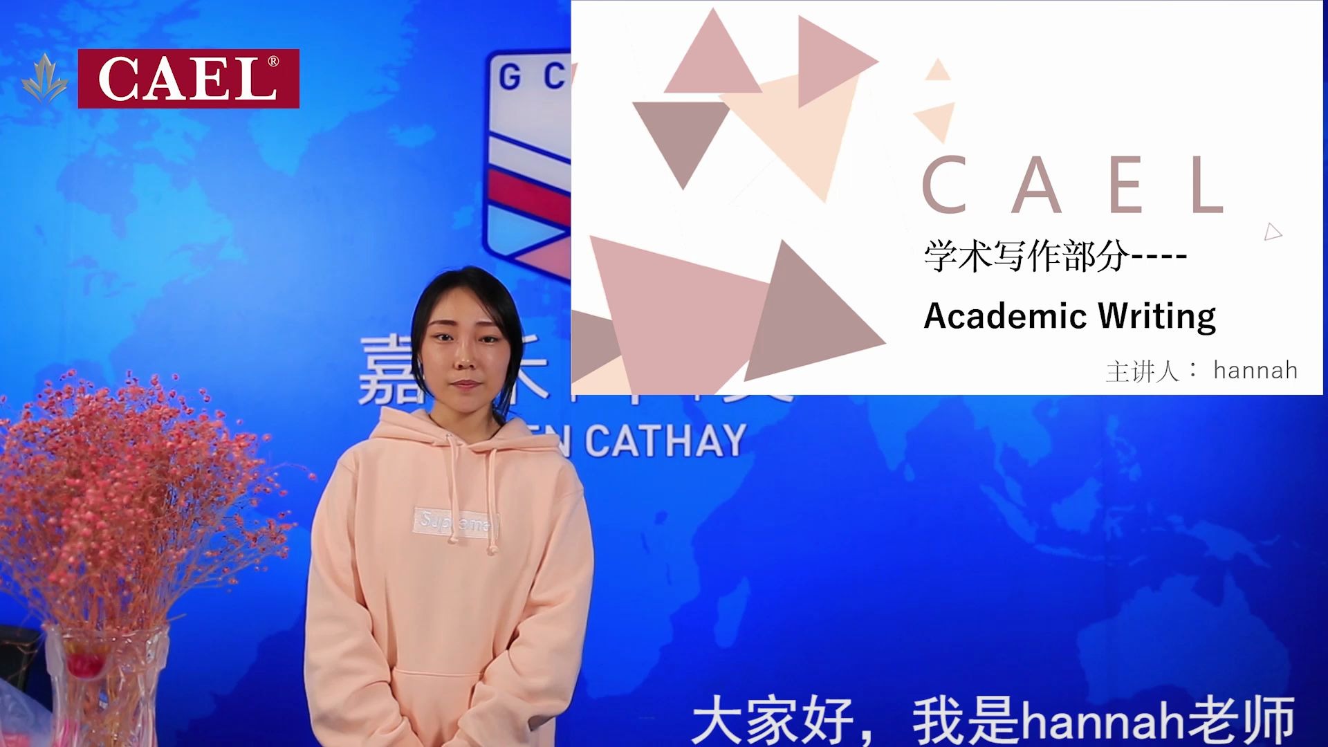 【选择CAEL,顺利到“加”】加拿大学术英语CAEL楷尔考试(写作 部分分享)哔哩哔哩bilibili