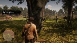 Red Dead Redemption 2 任务:无心之过哔哩哔哩bilibili