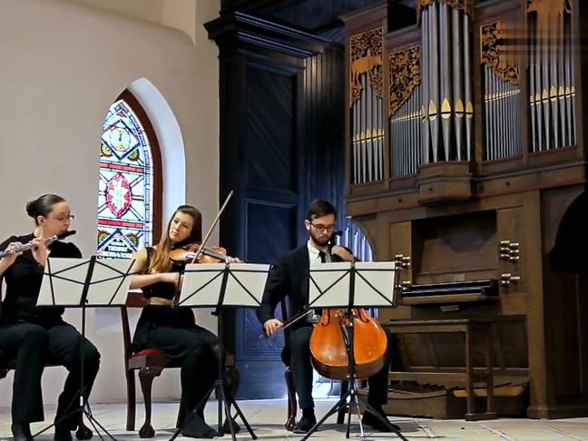 值得珍藏的长笛名曲 帕海贝尔《d调卡农》长笛小提琴大提琴三重奏