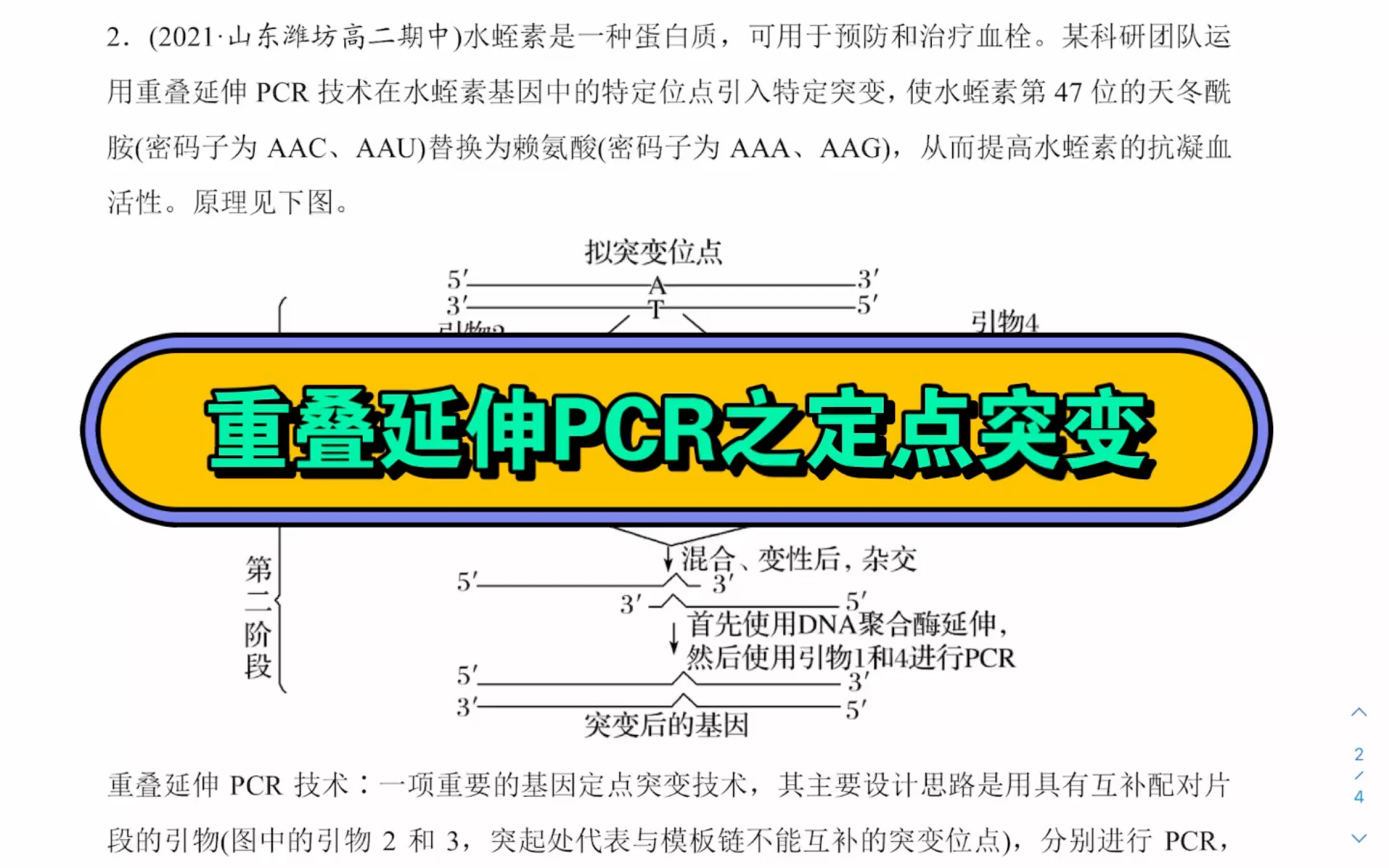 【高中生物一轮复习】重叠延伸PCR之定点突变,快来一起提分吧!高考生物一定行!!哔哩哔哩bilibili