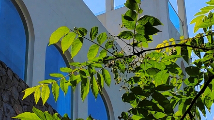 重庆大学城约会胜地|萤之森61石头花园_哔哩哔哩_bilibili