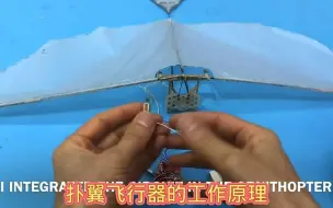 Télécharger la video: 扑翼飞行器的工作原理