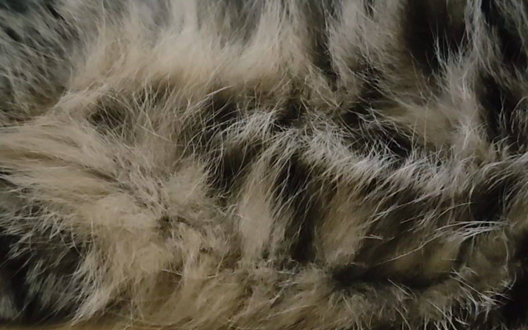 凑很近看妹妹的柔软肚肚毛