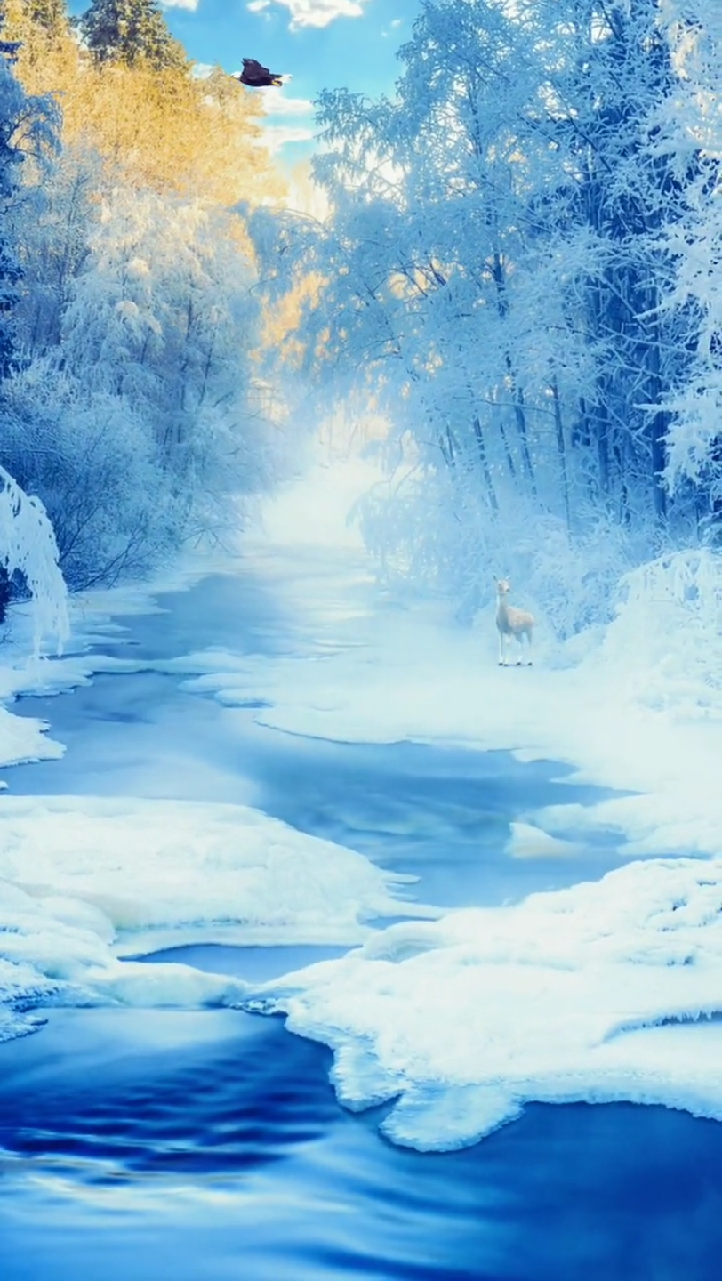 唯美意境 在这浮躁的社会,偶尔也要静下心来,欣赏一下美丽的风景!