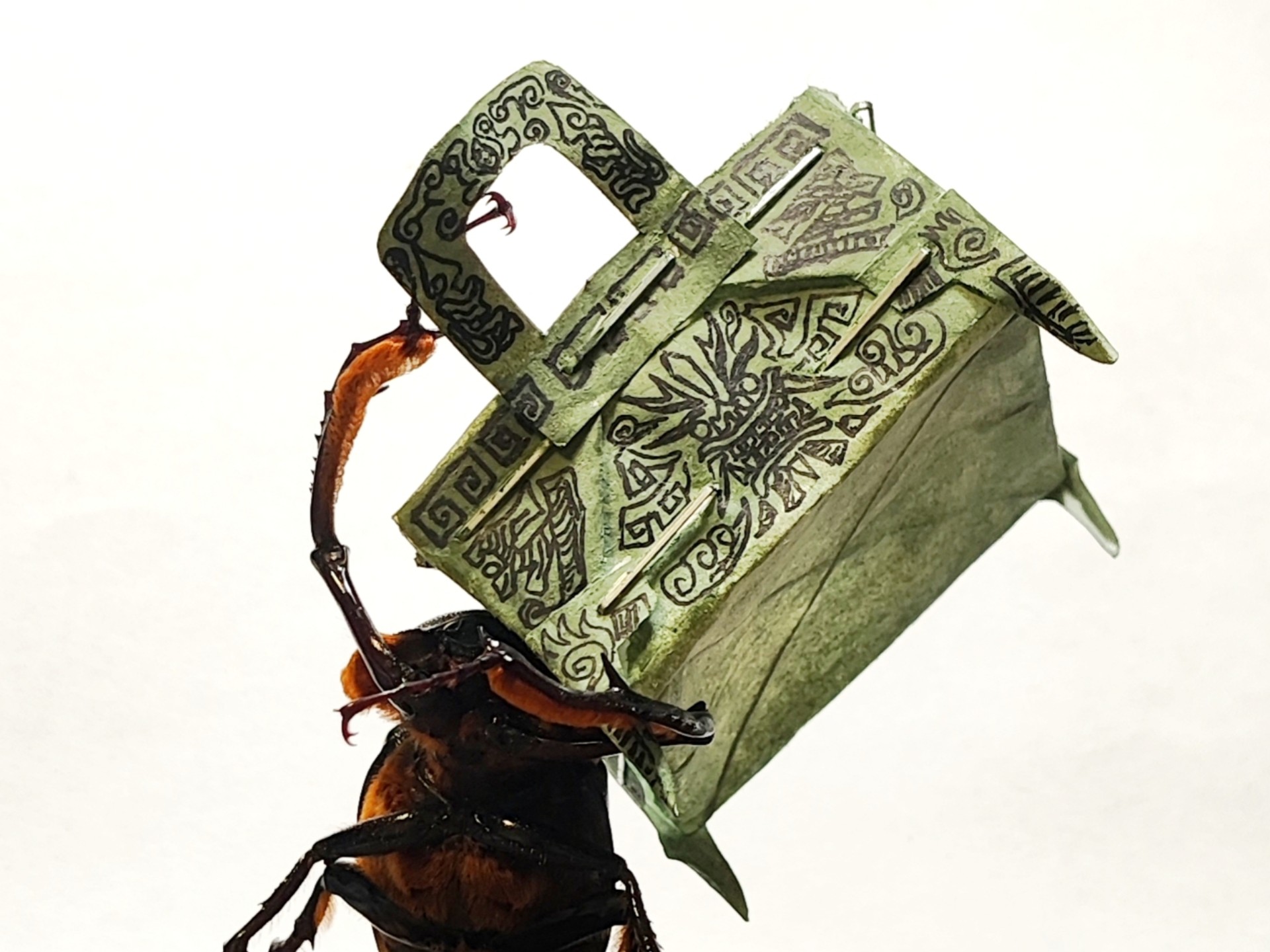 臂儿这个霸王举鼎