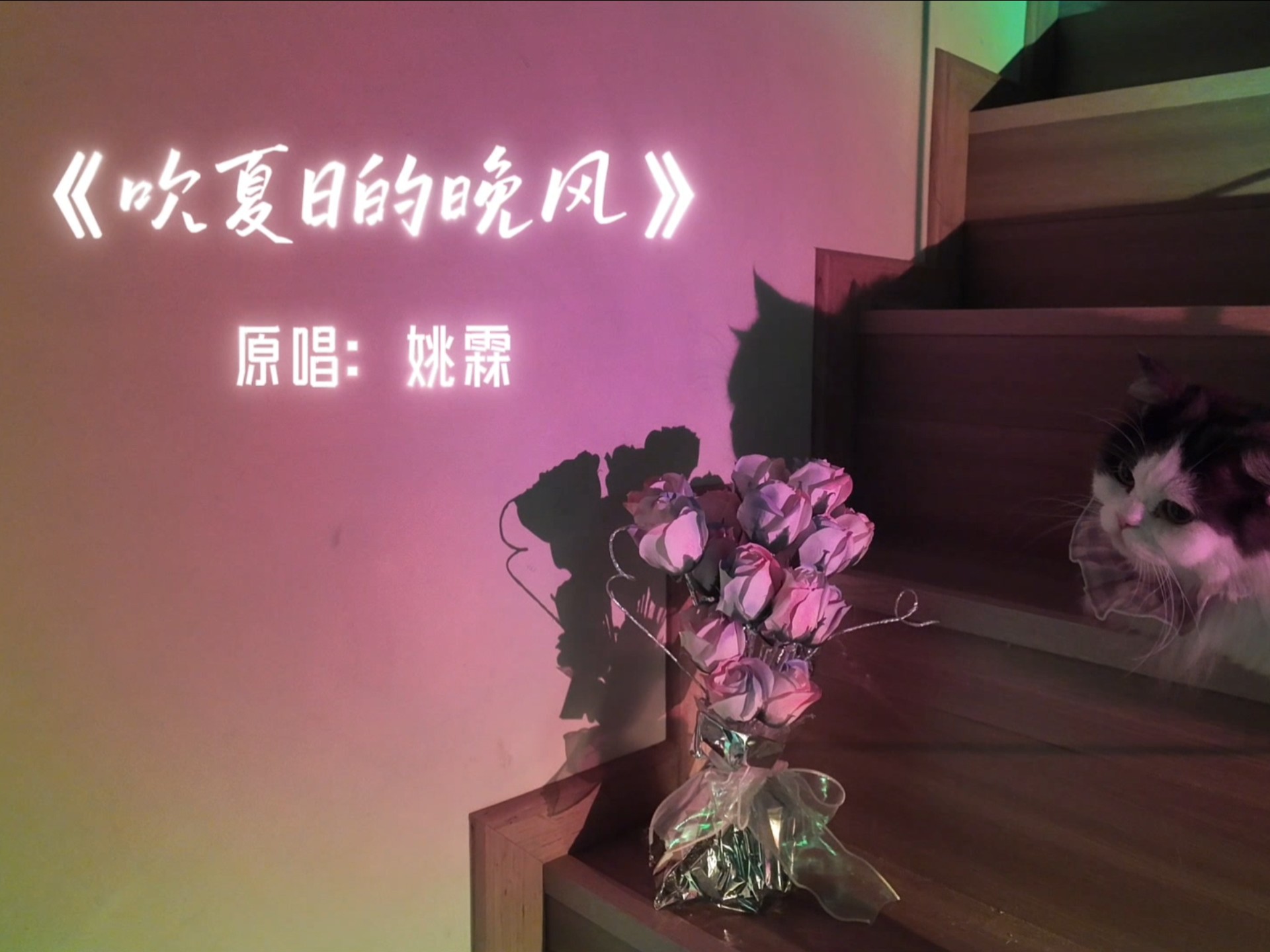 周文凯:吹夏日的晚风~-周文凯--周文凯--哔哩哔哩视频