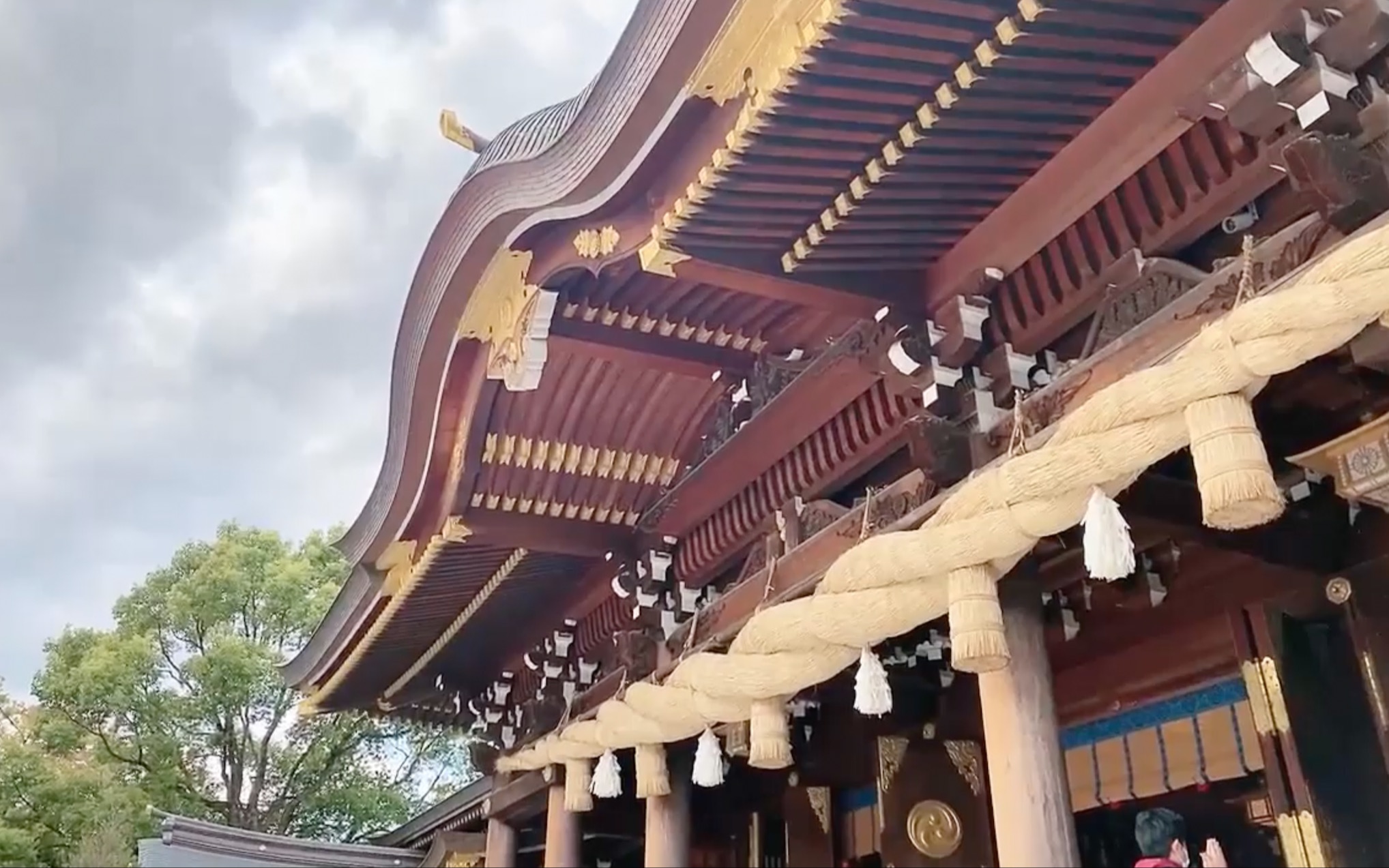 【狸录播】20201110 神奈川寒川神社溜达