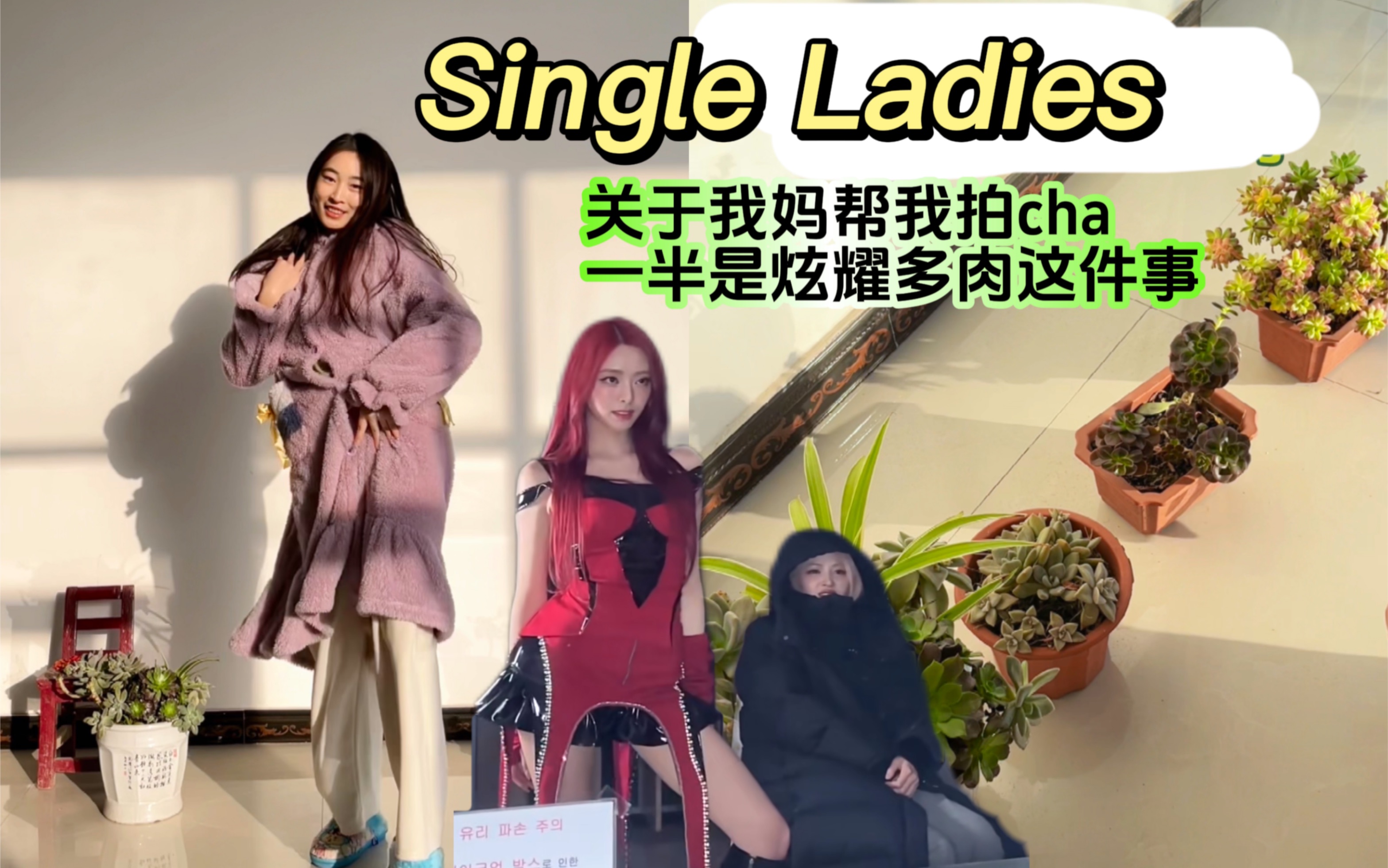 重生之申留真变多肉|single ladies但是农村过年版 布景&拍摄by我妈 一定要炫耀一下她的多肉养得很好哔哩哔哩bilibili