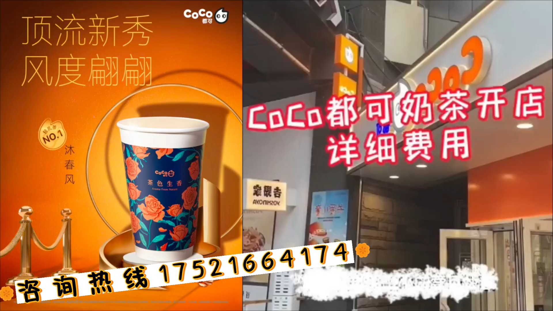 coco最新价目表2020图片