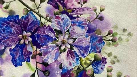 水彩作品 花儿 哔哩哔哩 Bilibili