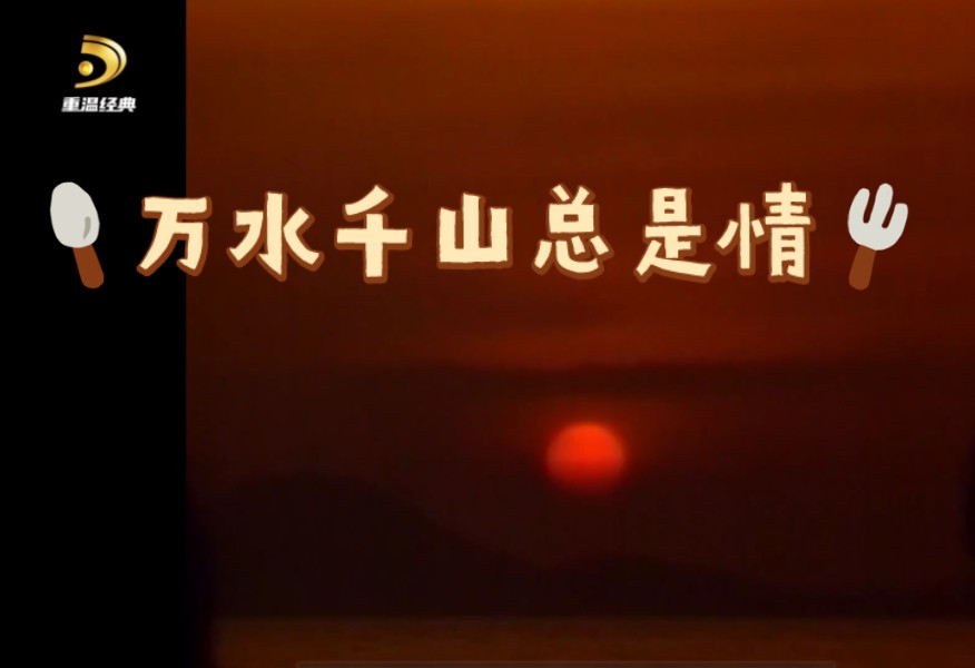 重温经典频道～电视剧【万水千山总是情】