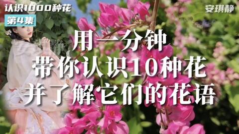 搜索 哔哩哔哩 つロ干杯 Bilibili