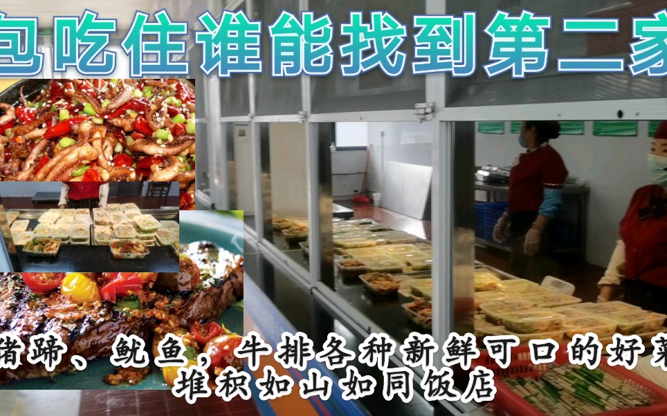 迄今为止5000一个月,这个厂伙食第一没人敢说第二!看完很多人都想进厂打工了哔哩哔哩bilibili