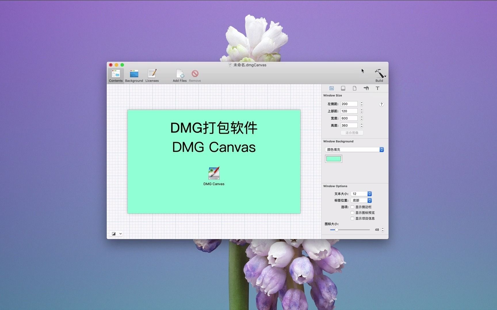 DMG Canvas for mac(DMG镜像制作工具)v3.0.15汉化版哔哩哔哩bilibili