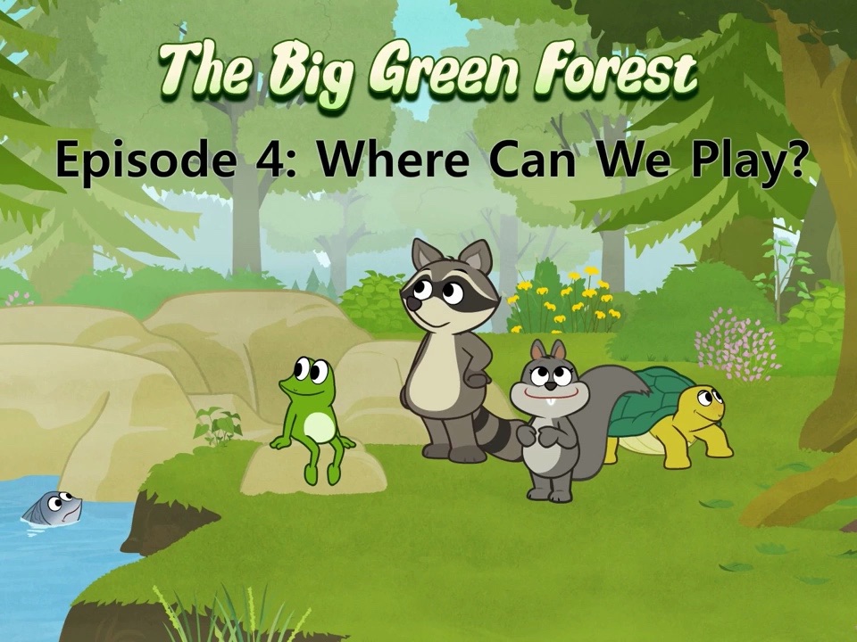 004_the big green forest 4_where can we play