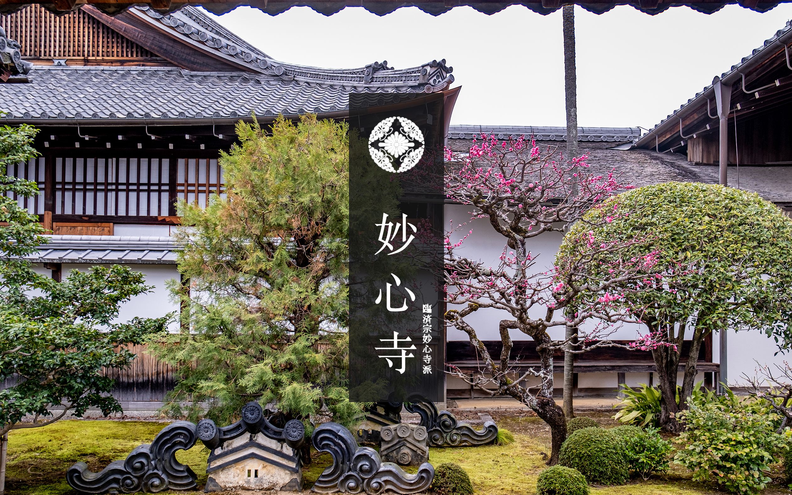 【京都妙心寺】京都佛寺推荐|京都妙心寺日式庭园|妙心寺阿吽院散歩|妙心寺退藏院散歩哔哩哔哩bilibili