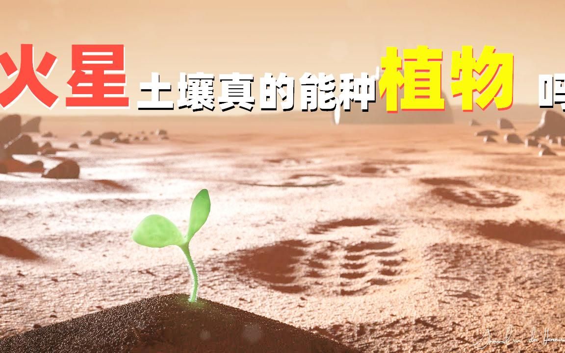 火星土壤真的能种植物吗?哔哩哔哩bilibili