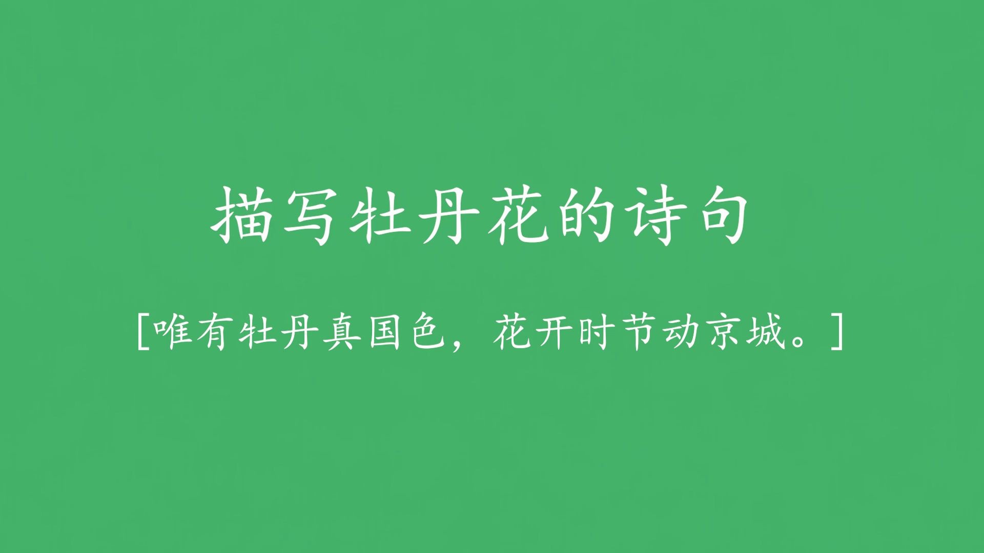 【美得不像“花”】用诗词感受牡丹花的国色天香|唯有牡丹真国色,花开时节动京城.哔哩哔哩bilibili