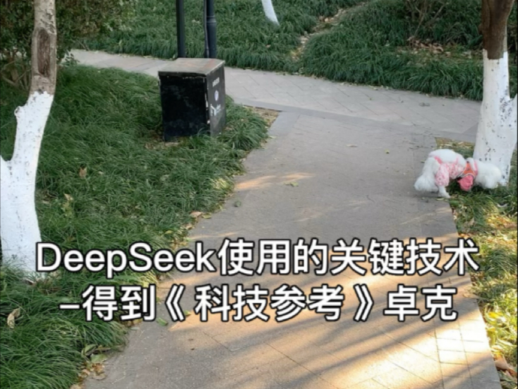 DeepSeek使用了哪些关键技术? 得到《科技参考》卓克哔哩哔哩bilibili