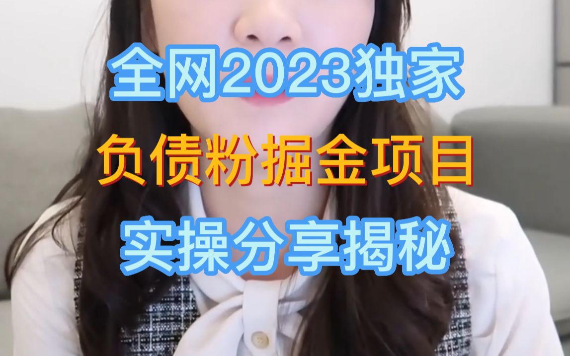 全网2023独家负债粉掘金项目实操分享揭秘哔哩哔哩bilibili