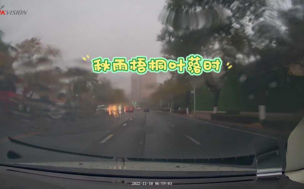 [图]中南路，秋雨梧桐叶落时