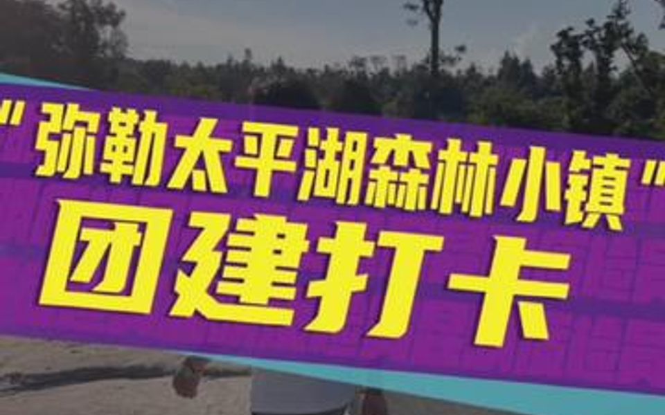 一次意犹未尽的公司团建,是时候带上家人朋友来一场说走就走的小旅行,回归自然,感受生活哔哩哔哩bilibili