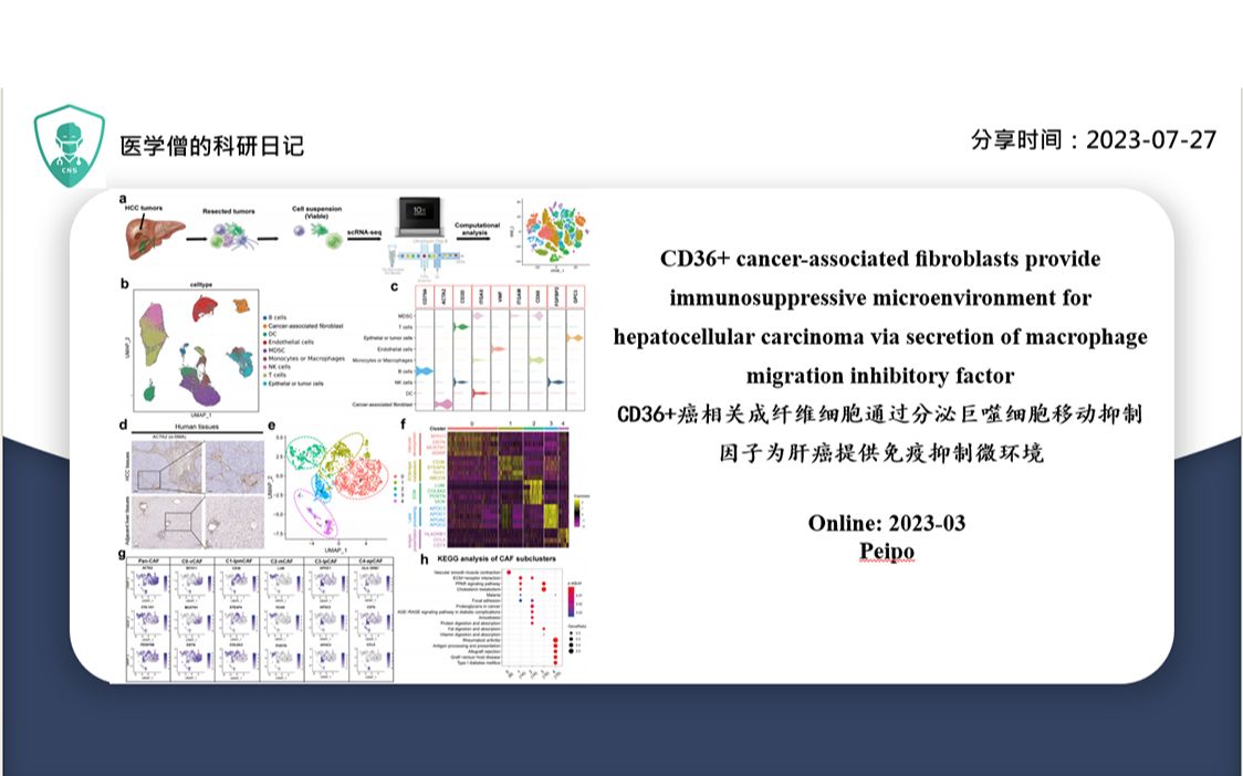 CD36+癌相关成纤维细胞通过分泌巨噬细胞移动抑制因子为肝癌提供免疫抑制微环境哔哩哔哩bilibili