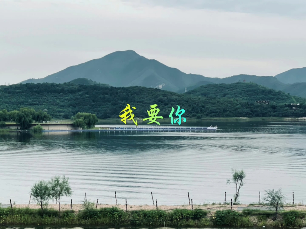 袁铭喆│《我要你》