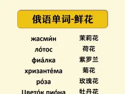 下载视频: 【俄语单词】俄语中的“鲜花”要怎么表达？