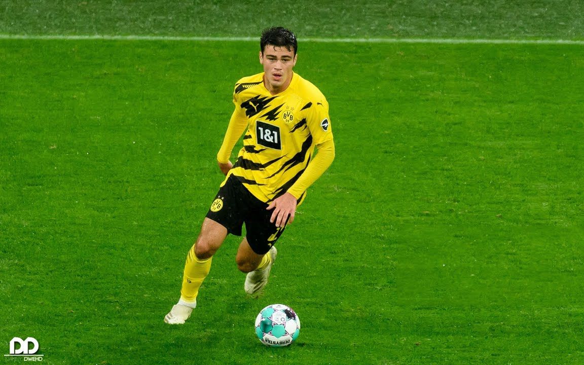 黄黑军团人才井喷 多特17岁小将雷纳(giovanni reyna)