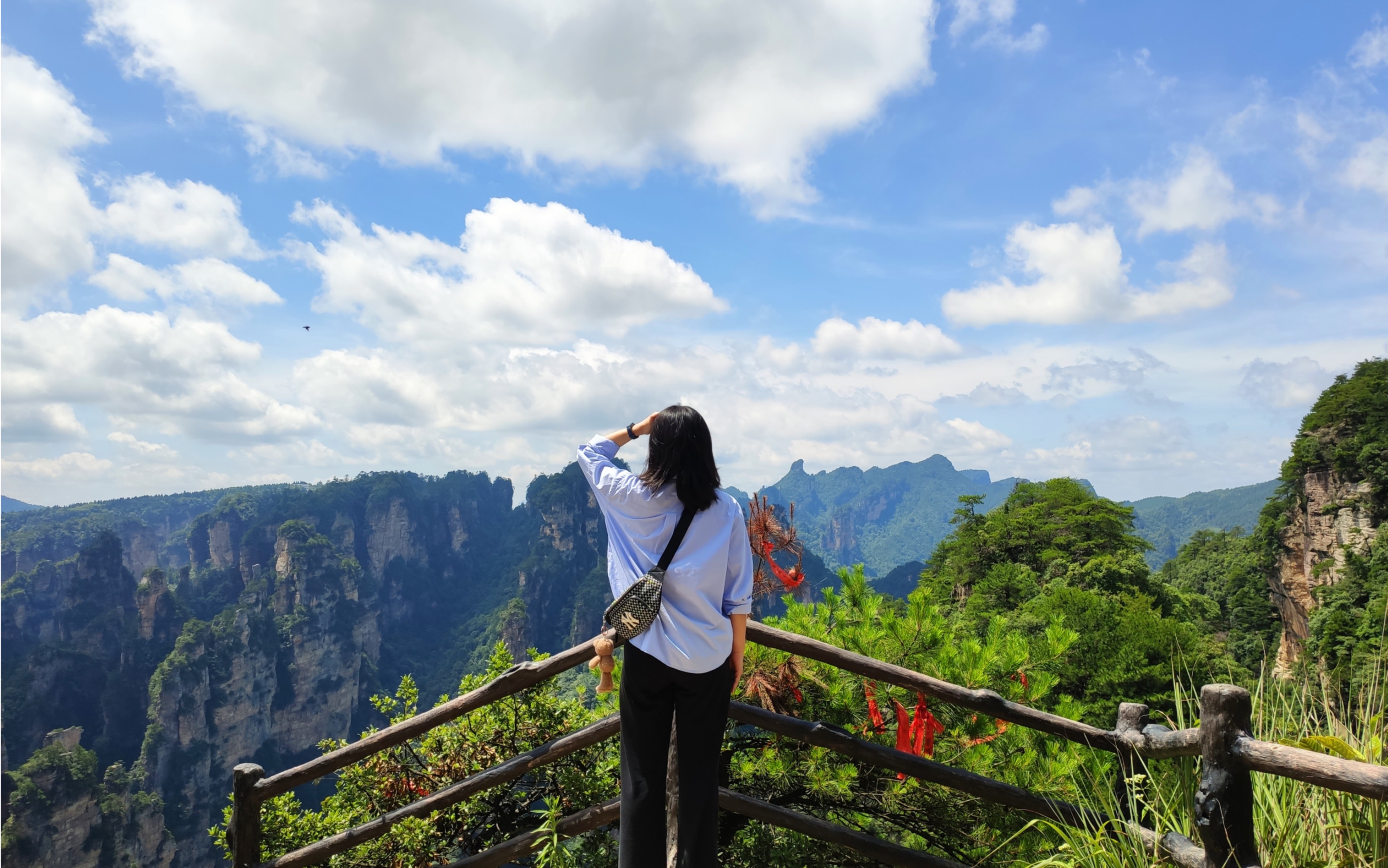 张家界国家森林公园 (夏日出游)