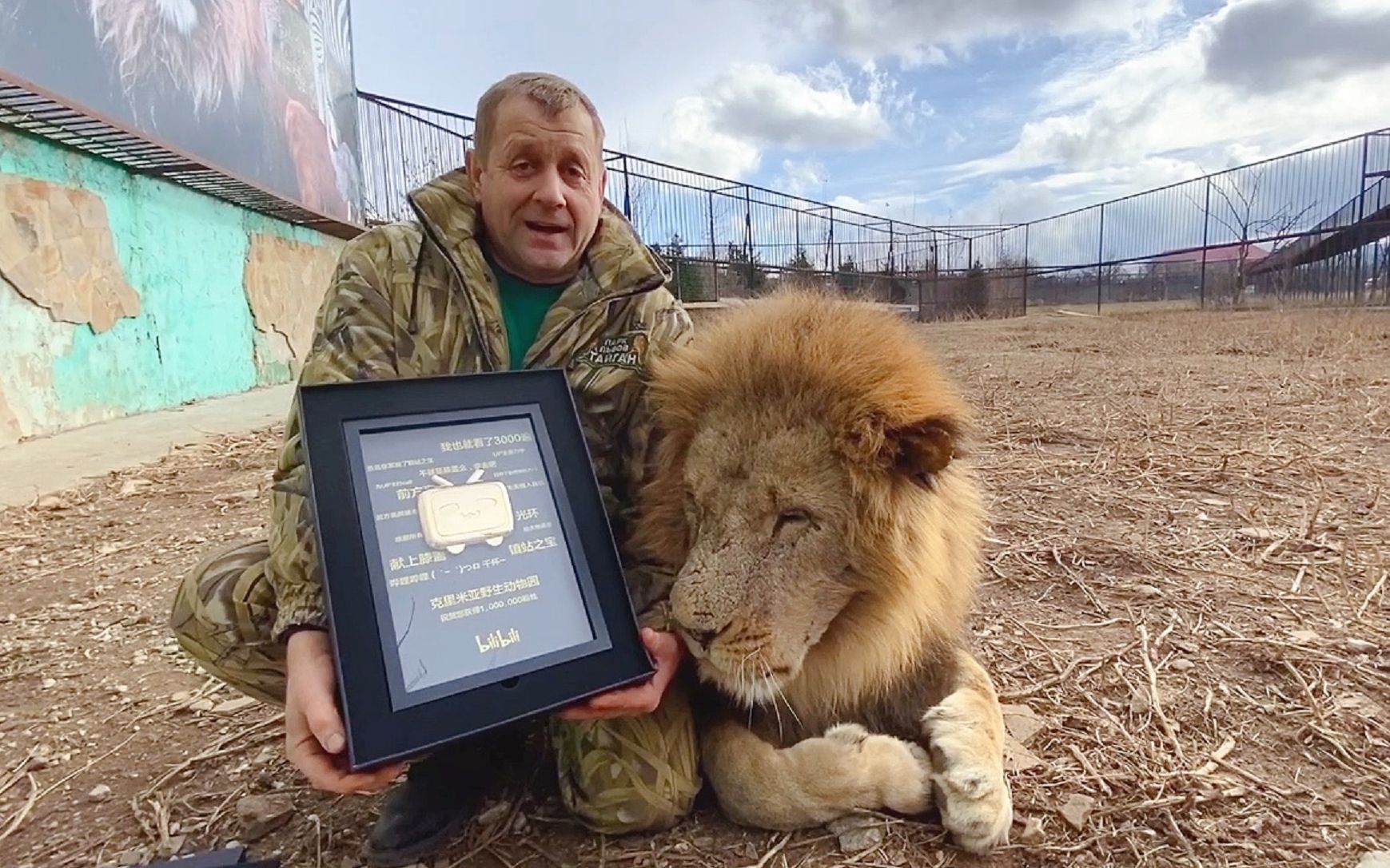 狮王奇克想吃掉百万粉丝奖牌