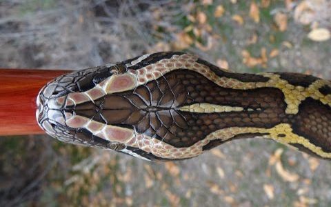【手杖大爷 #57】木雕的缅甸蟒拐杖wood carved burmese python