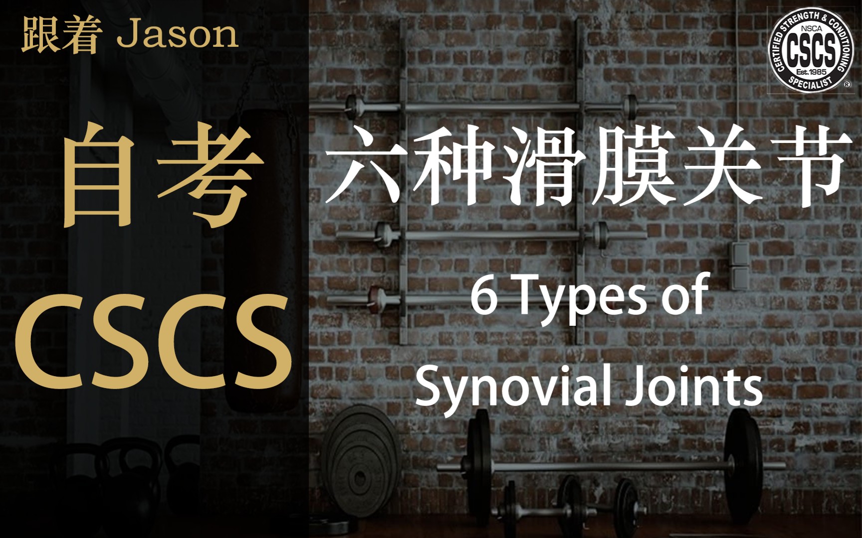 六种滑膜关节 6 Types of Synovial Joints | 自考 NSCACSCS | 国际体能教练证哔哩哔哩bilibili