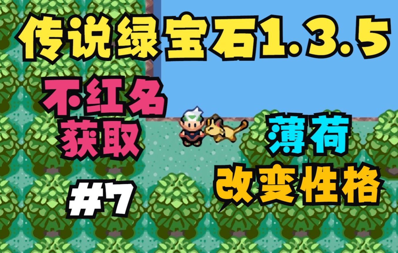 传说绿宝石1.3.5金手指#7:薄荷改变性格(休闲玩家必备)单机游戏热门视频