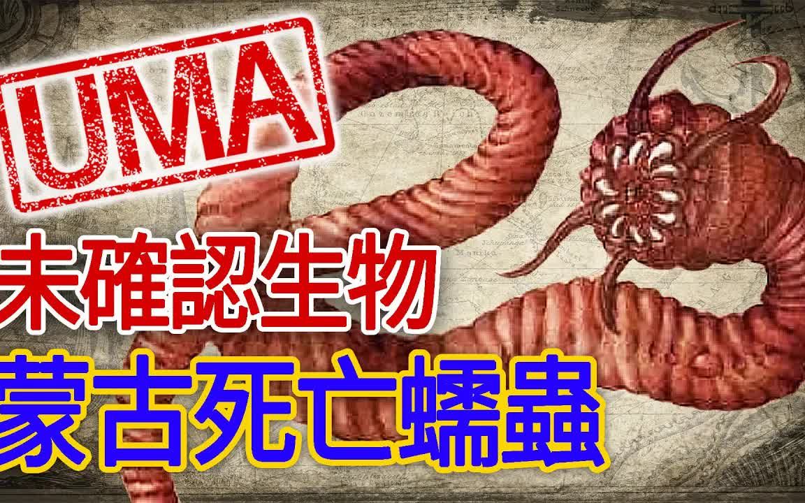 传说中的蒙古死亡蠕虫真的存在,而且能让人类瞬间灭亡