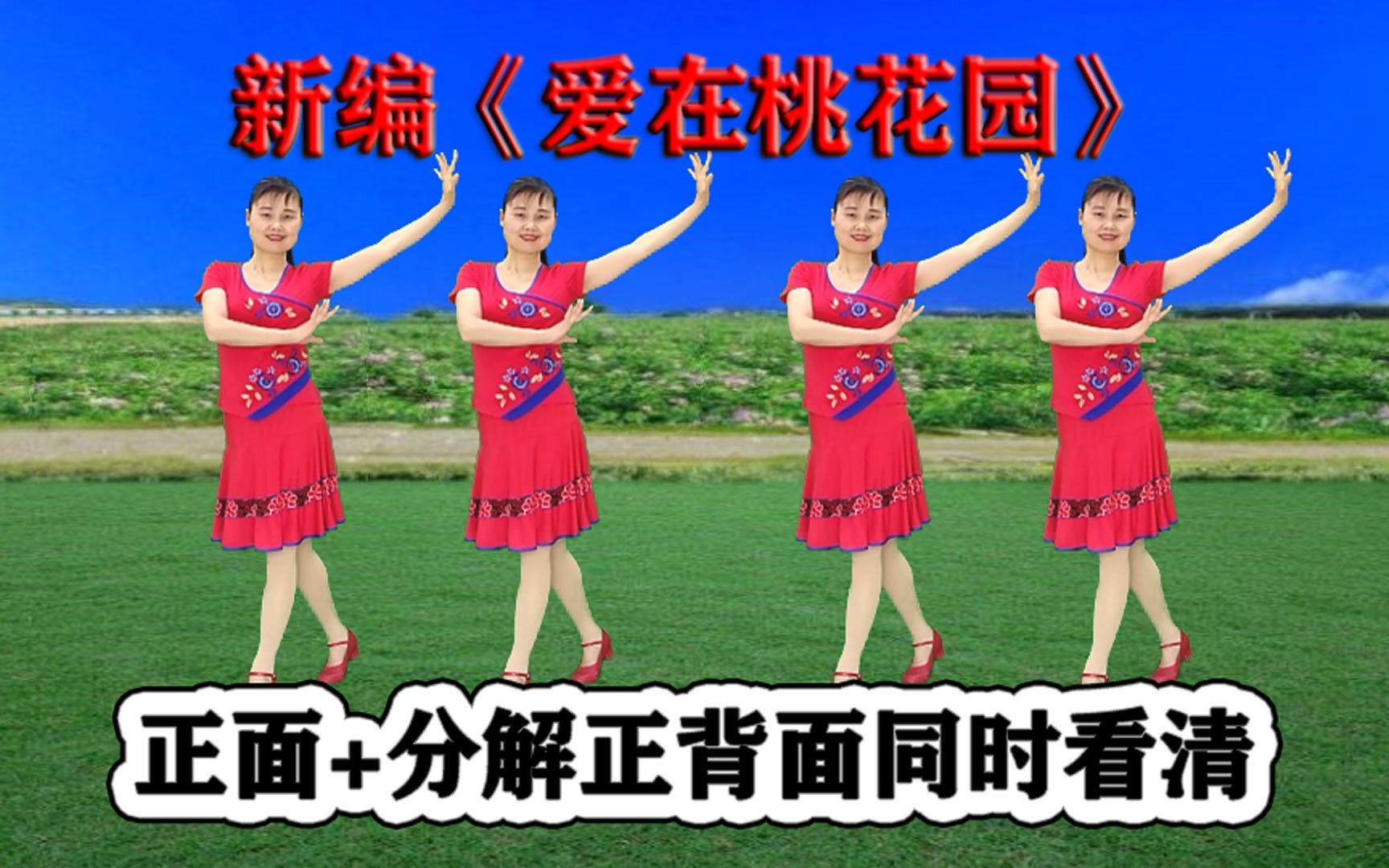 新编步子舞《爱在桃花园》不快不慢,好看简单哔哩哔哩bilibili