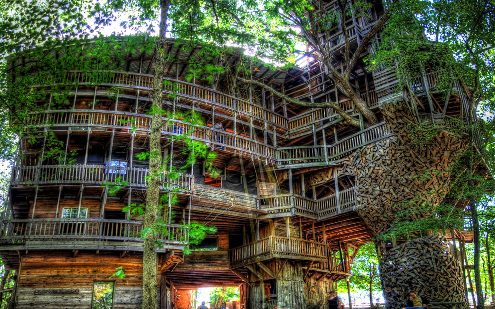 世界上最大的树屋,因游客众多而被迫关闭,最终荡然无存化为灰烬