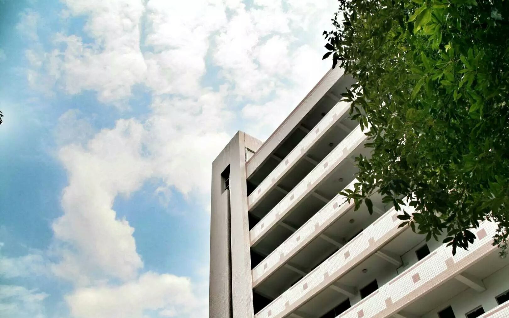 2017南平高级中学高考加油视频