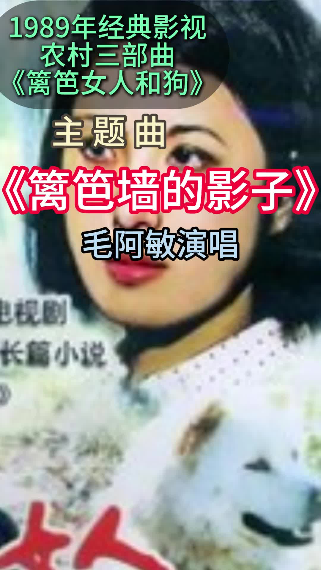 凄美歌声让人撕心裂肺!《篱笆女人和狗》主题曲《篱笆墙的影子》哔哩哔哩bilibili