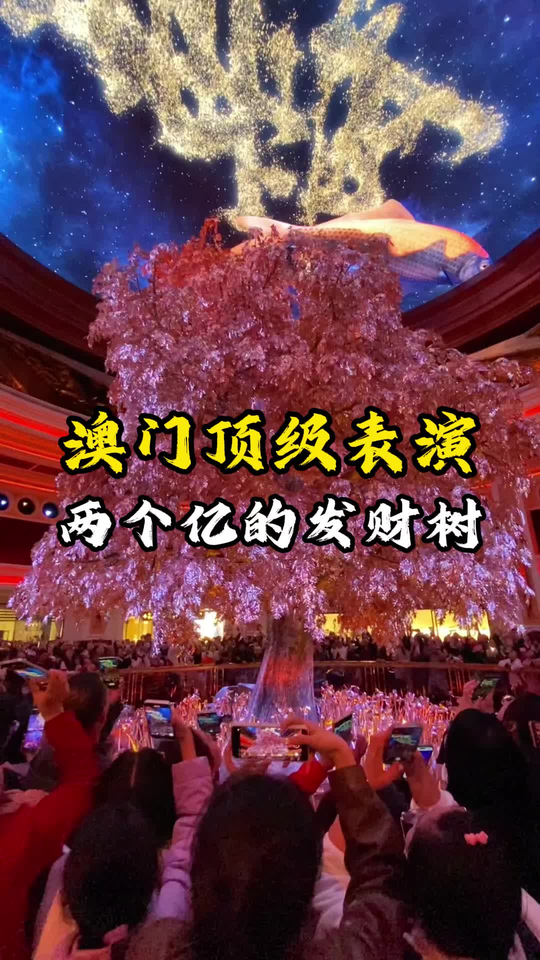 澳门顶级表演两个亿的发财树哔哩哔哩bilibili