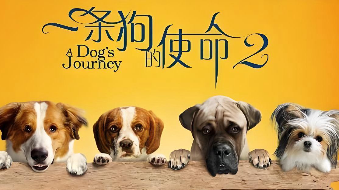 奇幻爱情电影《一条狗的使命2》蓝光高清