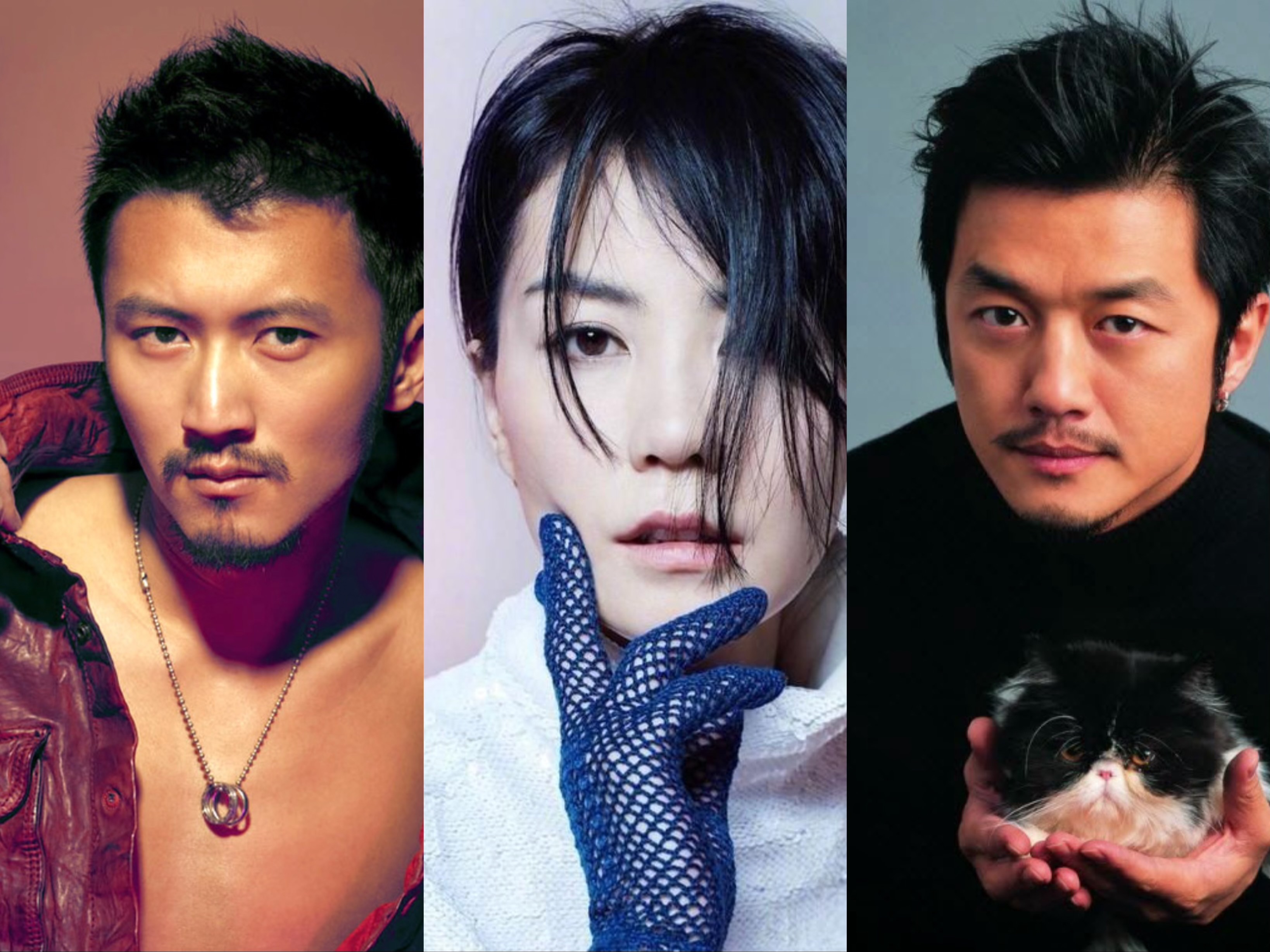 王菲创作的《不留》与谢霆锋李亚鹏的关系