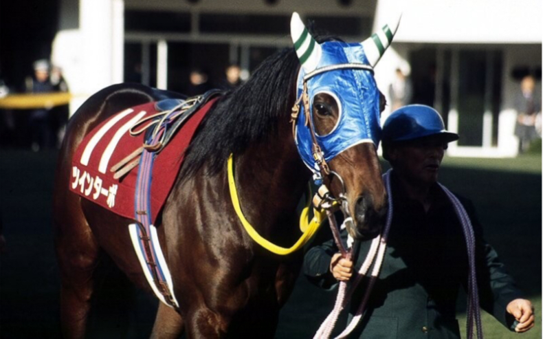 【赛马】1993/9/19 第39回産經賞オールカマー  ツインターボ 双涡轮