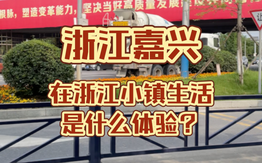 【浙江省嘉兴市】南湖区大桥镇:在浙江小县城生活是什么体验?哔哩哔哩bilibili