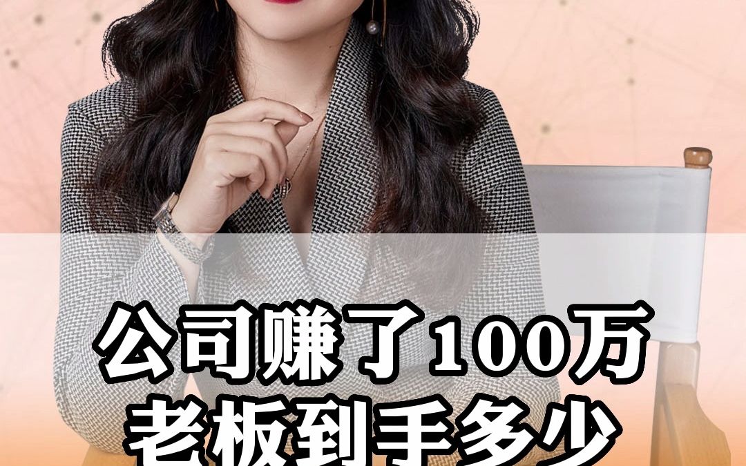 公司赚了100万老板到手多少哔哩哔哩bilibili