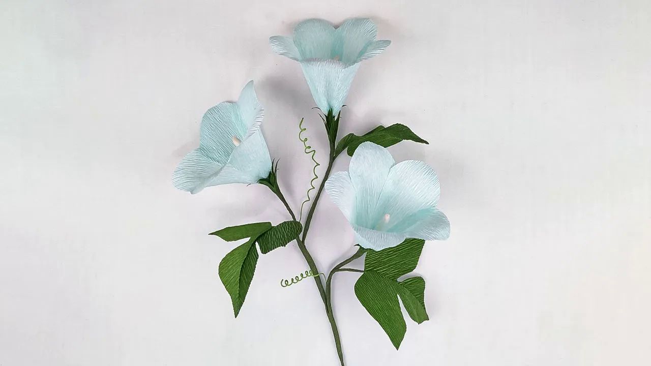 【bopha handmade】牵牛花皱纸花制作教程learn to make easy crepe