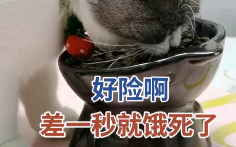 好险啊,差一秒就饿死了