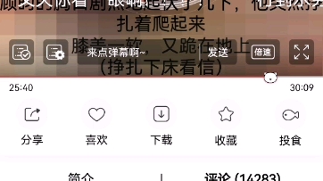 从那以后,他们相依为命哔哩哔哩bilibili