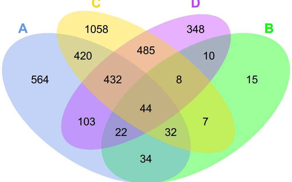韦恩图绘制——简单实用哔哩哔哩bilibili